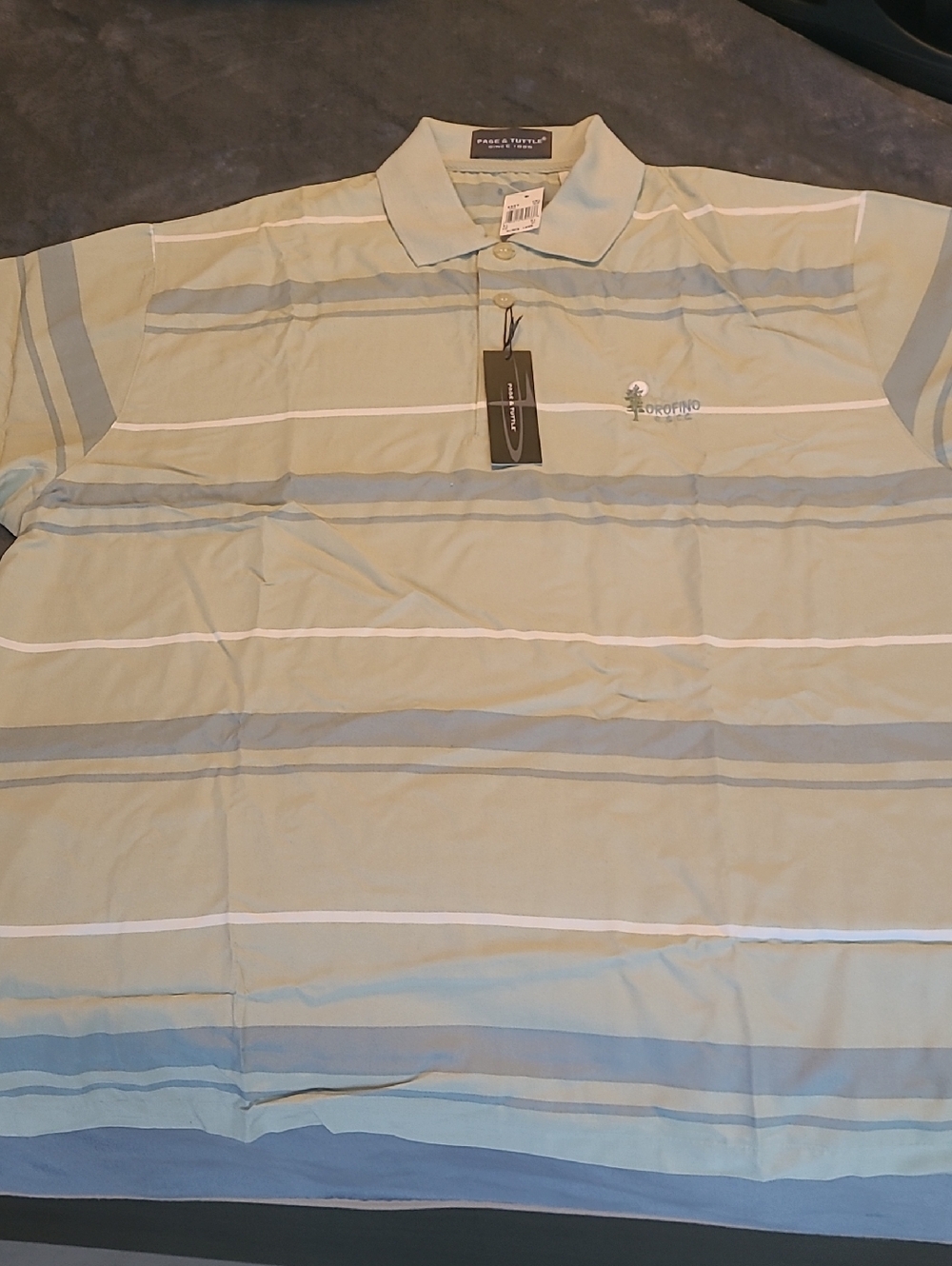 Page & Tuttle Golf Shirt. Striped Polo in Pale Sage Green and Light Blue